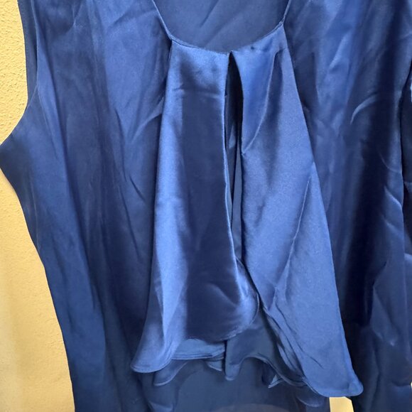 Violet & Claire Blue Sleeveless Ruffle Layered Blouse Size M - Picture 3 of 7